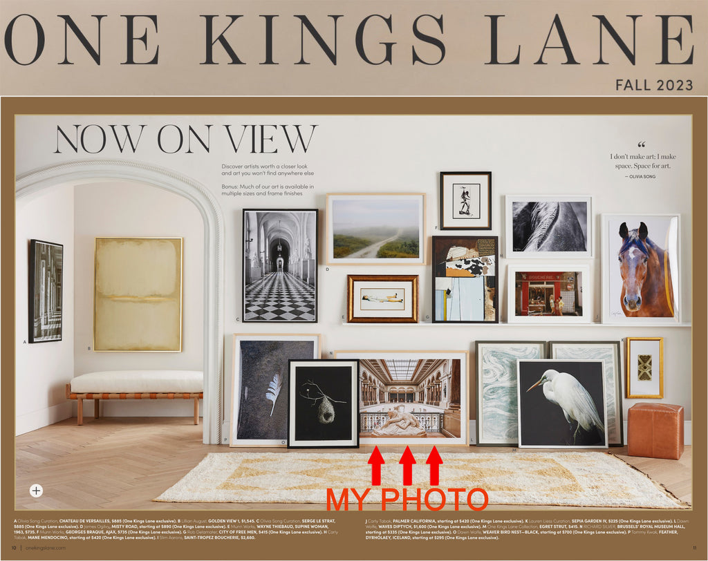 I have a Featured Photo in One Kings Lane Fall 2023 Catalogue
