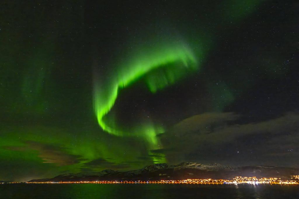 Returning to Miami After a Year of Travel: Editing and Preparing New Photography