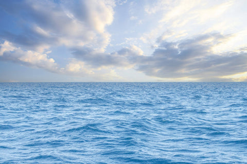 Casa En El Agua, Colombia III - Horizon