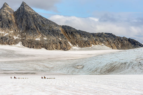 Dog Sledding, Anchorage, Alaska