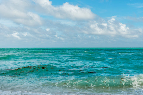 The blue Atlantic Ocean horizon of Fort Lauderdale, Florida