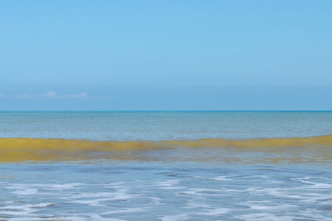 Horizon photo of the Isla de La Plata, Ecuador - Horizon