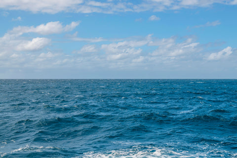 Horizon photo of Sydney, Australia