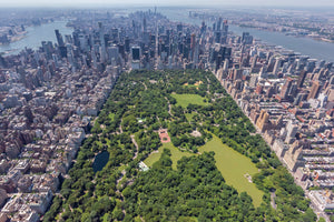 Central Park by Helicopter, New York City II